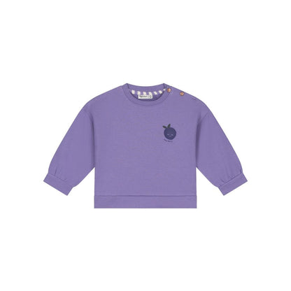 BabyFace Sweatshirt Meisjes Faded Plum
