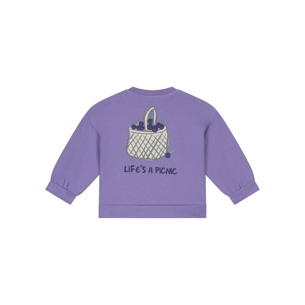 BabyFace Sweatshirt Meisjes Faded Plum