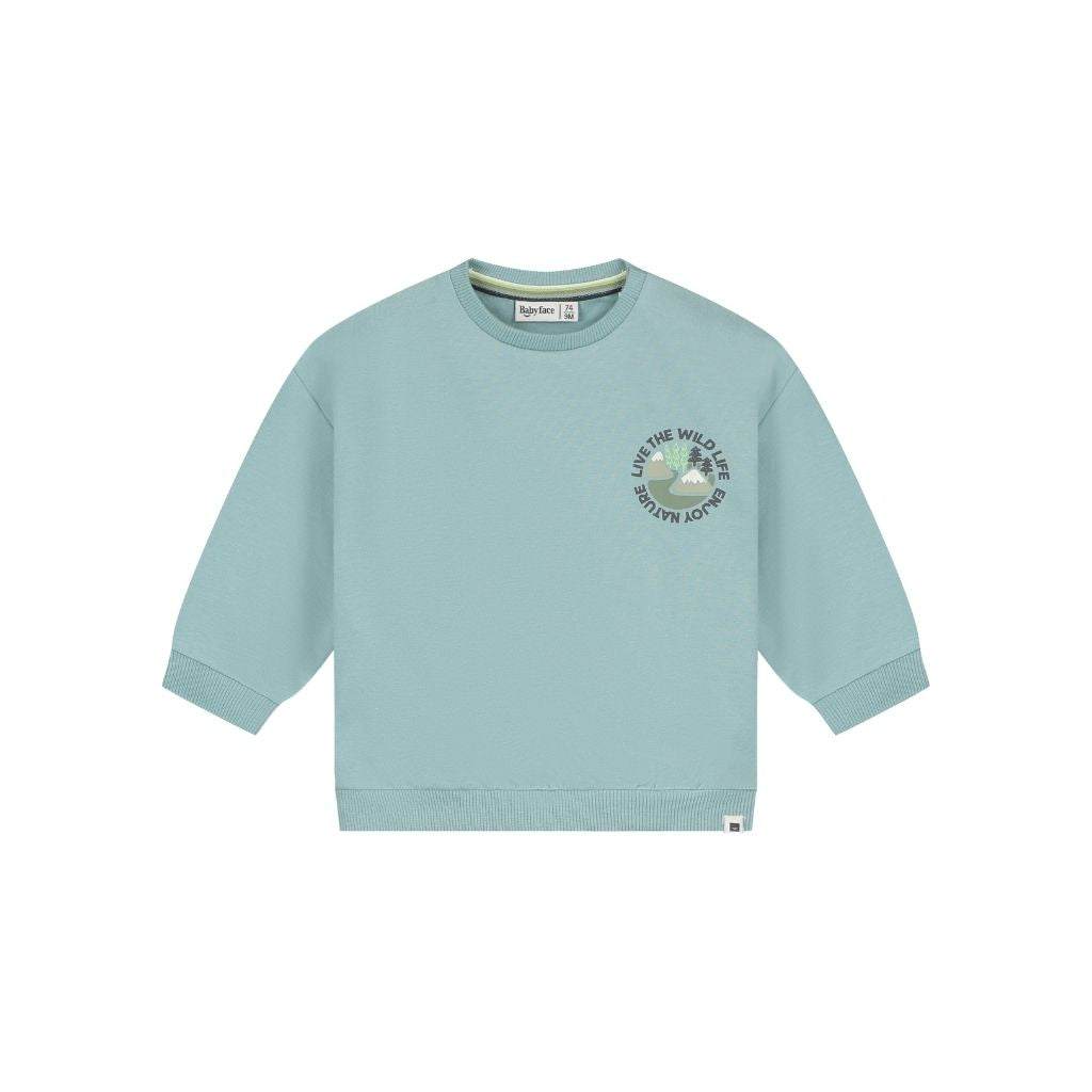 BabyFace Sweatshirt Jongens Sky