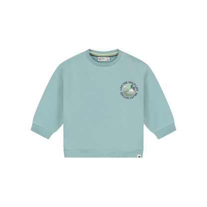 BabyFace Sweatshirt Jongens Sky