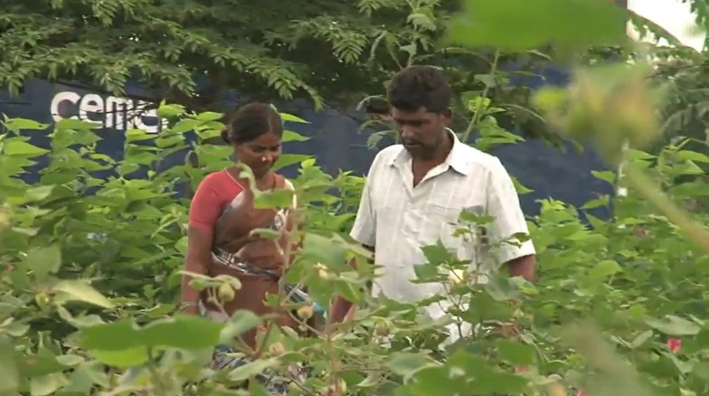 Video laden: Better Cotton in India