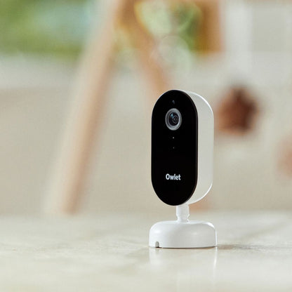Owlet Caméra Dream Sight Multicolore
