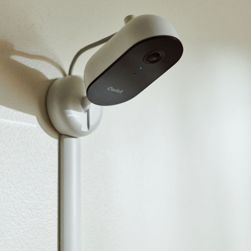 Owlet Caméra Dream Sight Multicolore