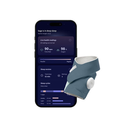 Owlet Dream Sock et Caméra Bedtime Blue