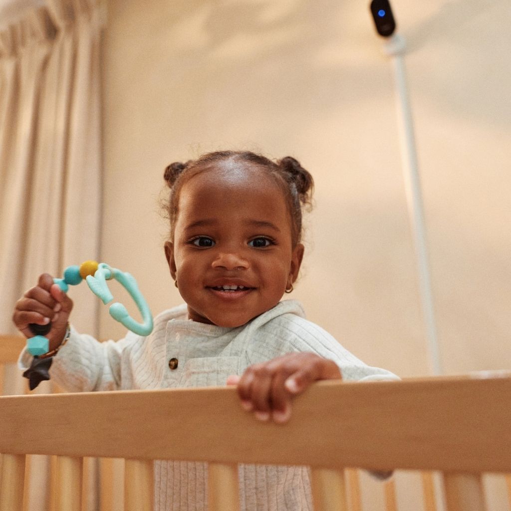 Owlet Dream Sock et Caméra Bundle Mint