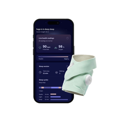 Owlet Dream Sock et Caméra Bundle Mint
