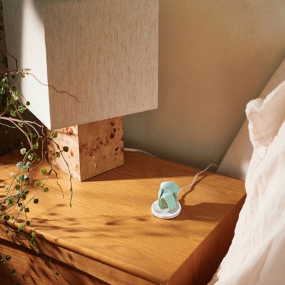 Owlet Dream Sock et Caméra Bundle Mint