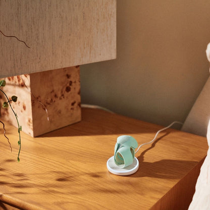 Owlet Dream Sock et Caméra Bundle Mint