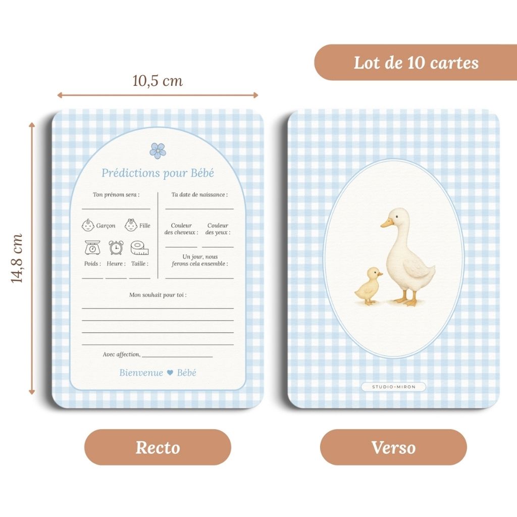 Studio Miron Cartes de prédictions pour bébé Vichy Bleu FR - 10 pièces