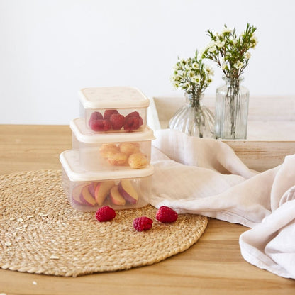 Lässig Boîte à Snacks Miracle of Nature Beige - 3 pièces