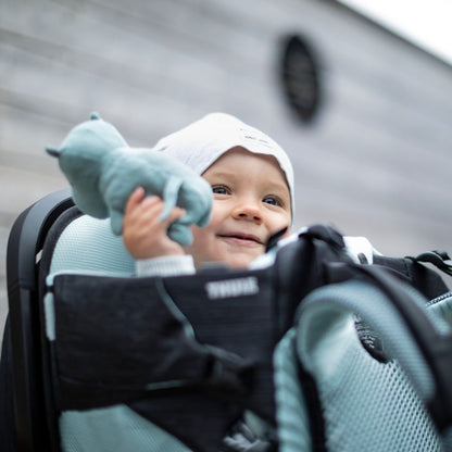 Thule Kinderdrager Sapling Zwart