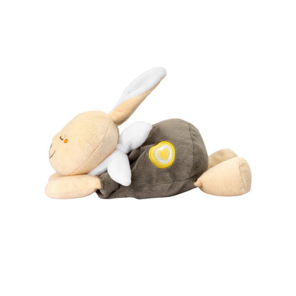 Chicco Warmtekussen Knuffel Konijn Multi