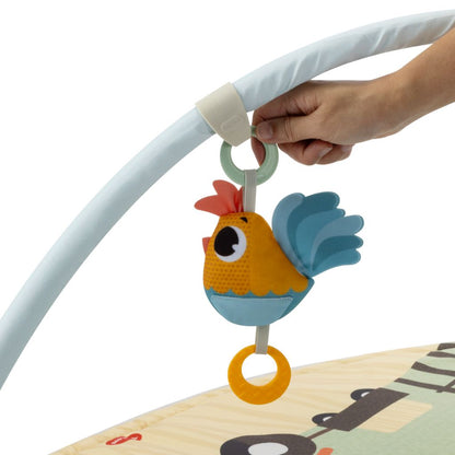 TinyLove Tapis De Jeu Avec Arche  Famers Gymini 