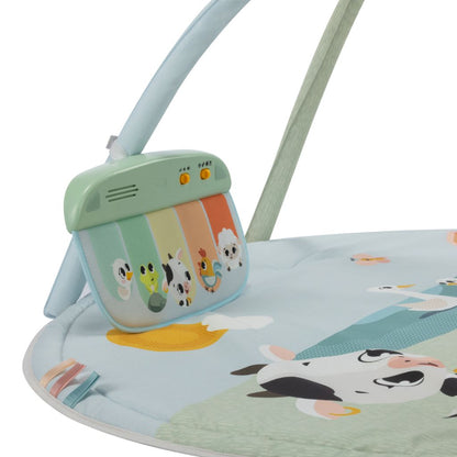 TinyLove Tapis De Jeu Avec Arche  Famers Gymini 