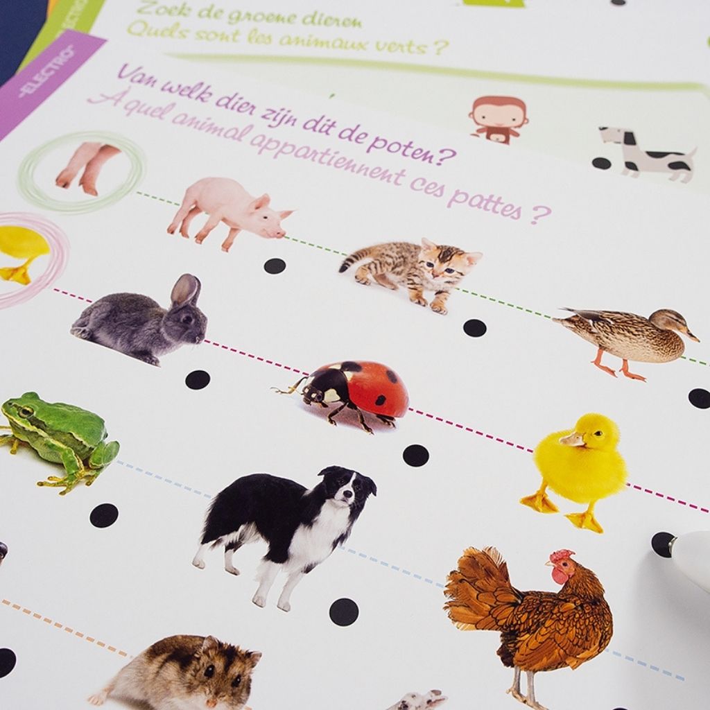 Jumbo Jouet éducatif Stylo Magique Découvre Les Animaux
