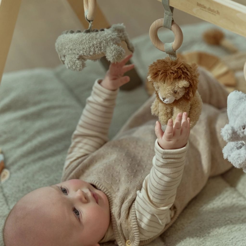 Little Dutch Arche De Jeu Safari Friends Multi