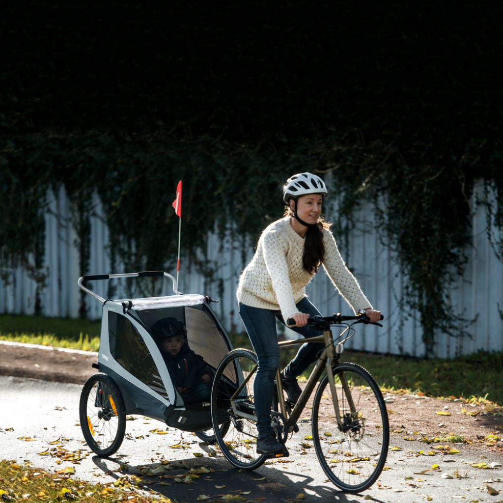 Thule Remorque à Vélo Coaster XT Bleu 