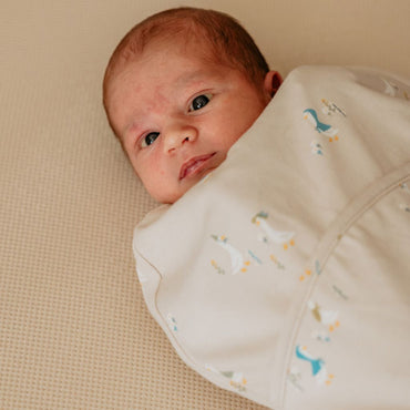 Puckababy Inbakerzak / Zomerslaapzak The Original Piep Cotton TOG 0,5 Geese 66 cm