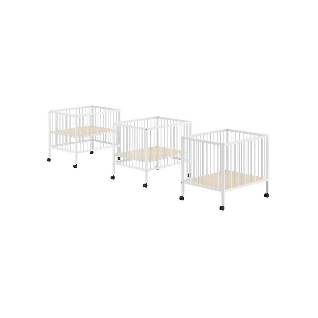 JAXX Parc Dino White
