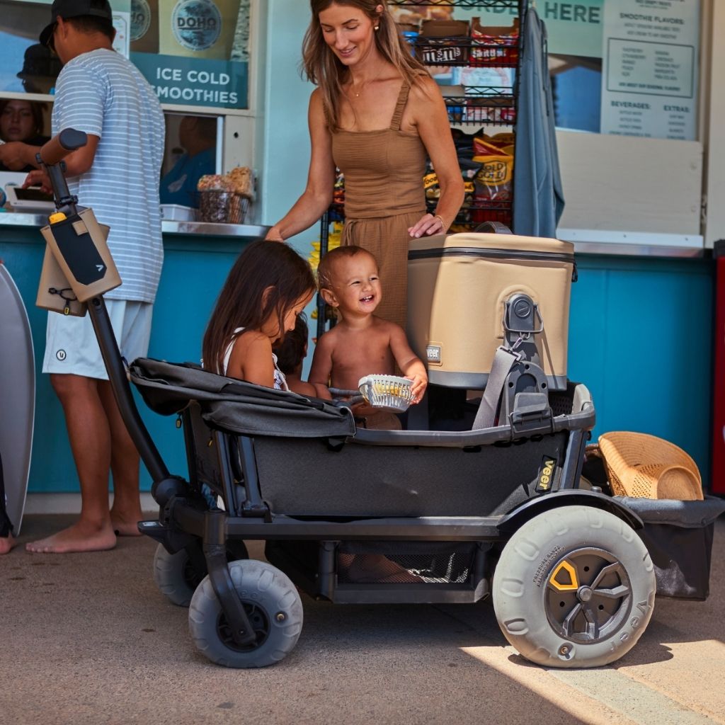 Veer Roues De Plage Pour Chariot Cruiser Grey - 4 Pièces
 