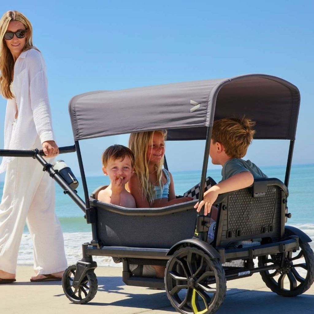 Veer Zonnescherm Voor Bolderkar Cruiser XL Grey