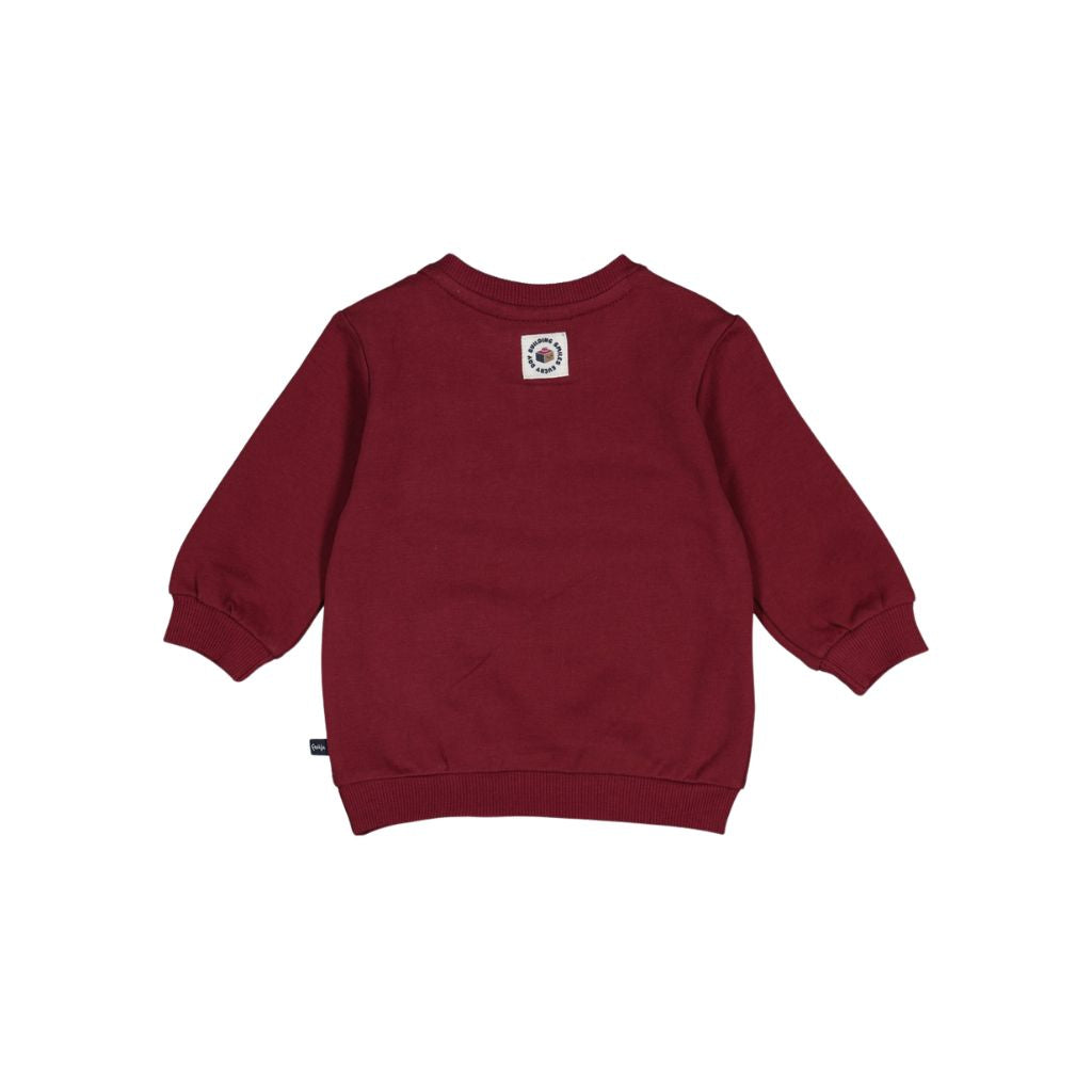 Feetje Sweater Built For Fun Garçons Bordeaux