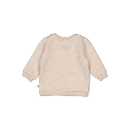 Feetje Pull Wild World Taupe melange 