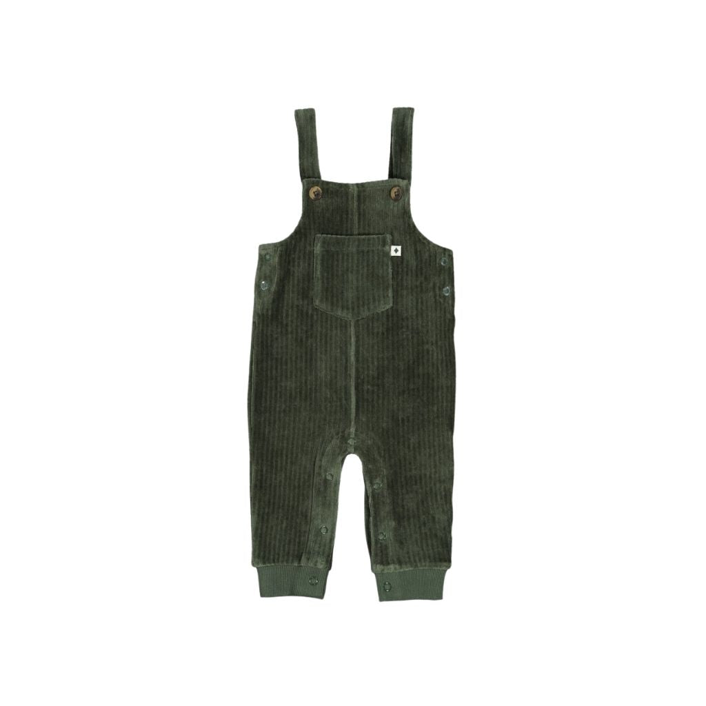 Feetje Tuinbroek Velours Rib Wiggle and Waddle Jongens Green