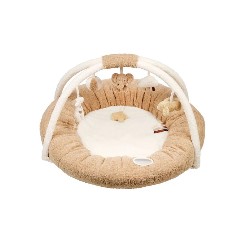 Nattou Speeltapijt met bogen TEDDY