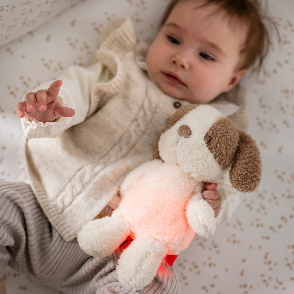 Nattou Knuffel nachtlamp Teddy/Nightlights Mini Sleepy hond vanille