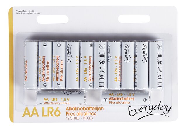 Everyday Alkaline AA LR06 12pcs