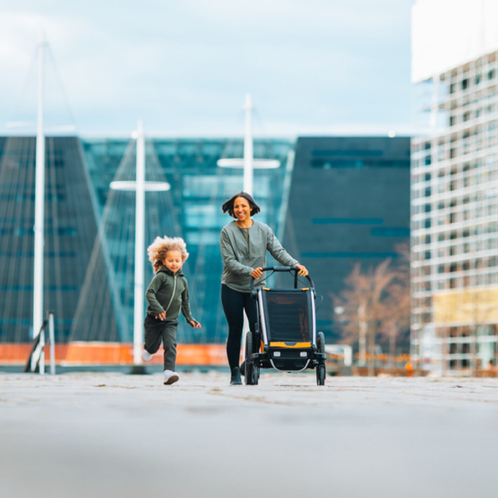 Thule Remorque de vélo Chariot Sport 1 Simple Natural Gold