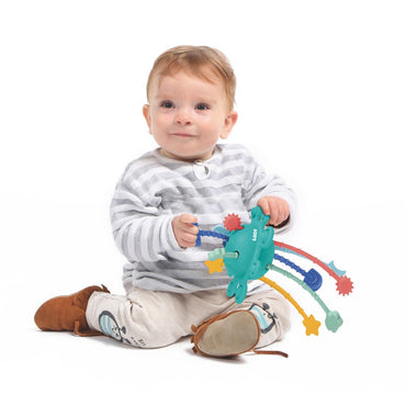 Ludi Activiteitspeeltje rammelaar Zippy Toy