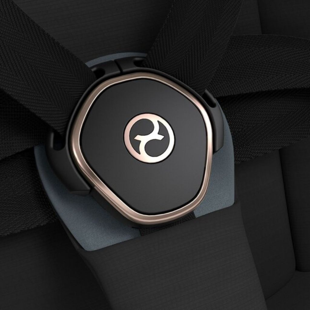 Cybex 2-in-1 Kinderwagen Priam Sepia Black/Rosegold