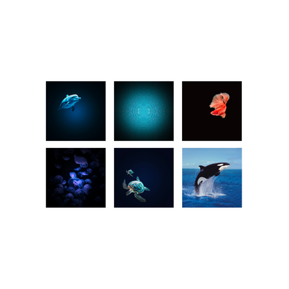 Kidywolf Projecteur d'images