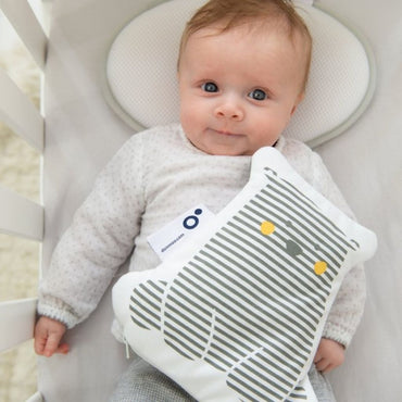 doomoo Warmtekussen Snoogy Bear