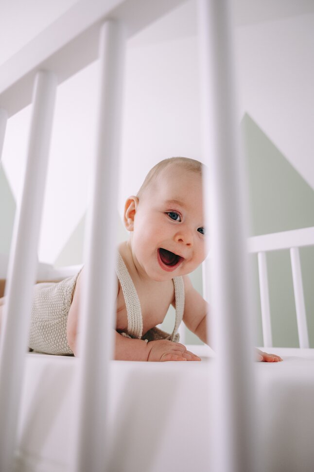 ZZZOO Matras voor park Dolfijn B 72 x L 92 cm