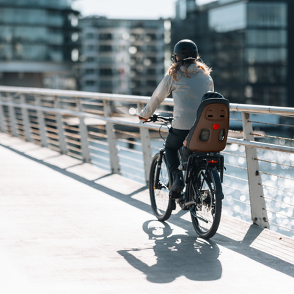 Thule Siège de vélo Yepp Nexxt 2 Maxi Rack mount Chocolate brown