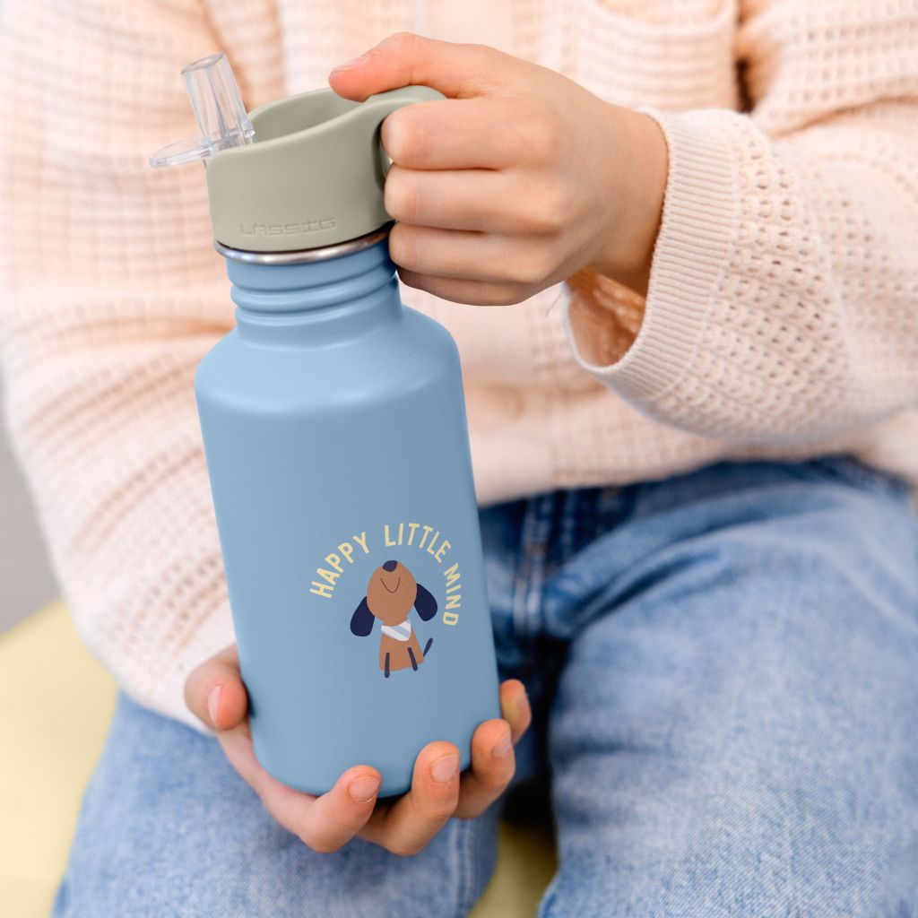 Lässig Fles roestvrij staal Pattern Party blue/green 500 ml