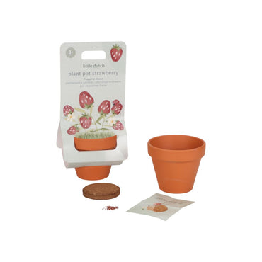 Little Dutch Pot de fleur Fraise