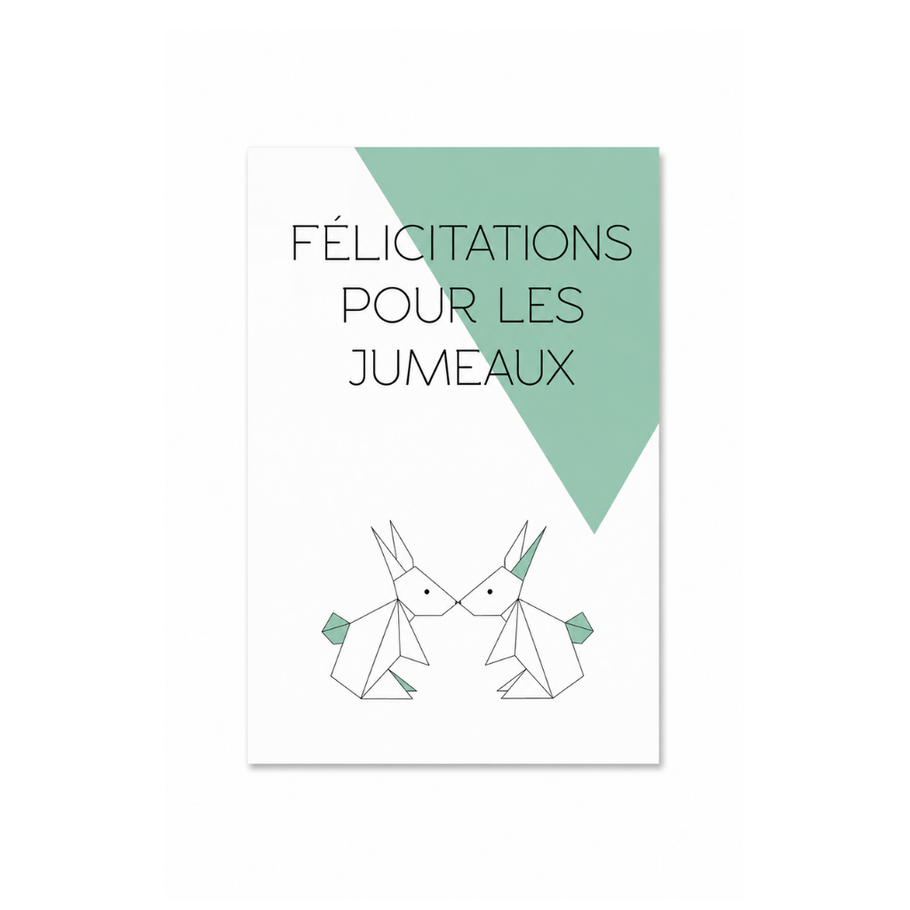 Wenskaart - jumeaux origami - 23, FR