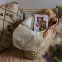 INFO+ Baby's eerste fopspeen pakketje blush