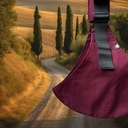 Wildride Porte-bébé Toddler Swing Carrier Merlot