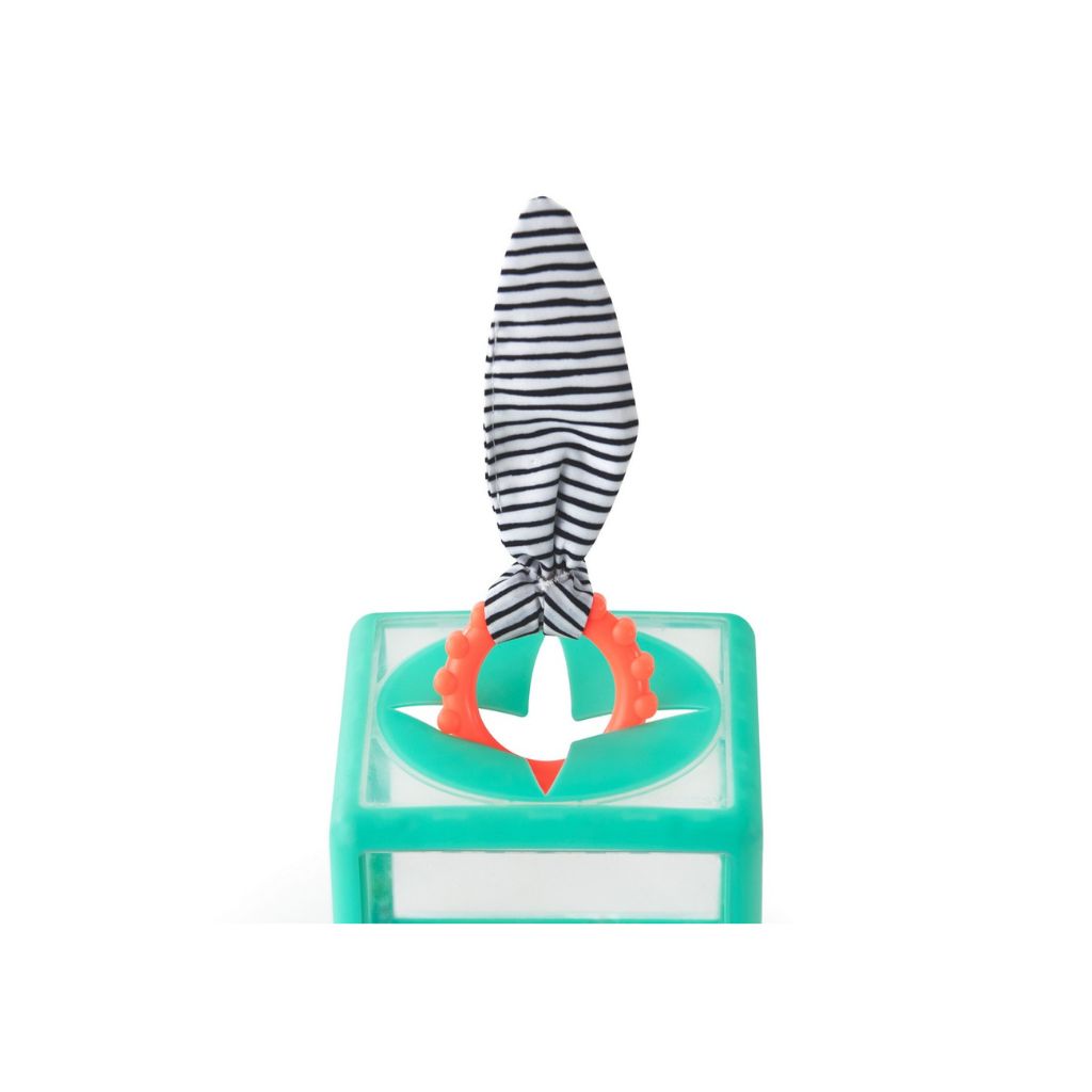 Sassy Speelkubus Rainbow Ring Drop