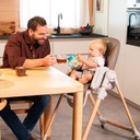 Chicco Eetstoel evolutief Polly Armonia Scandinavian