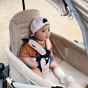 Pronto Poussette Stroller Chariot Sand Beige