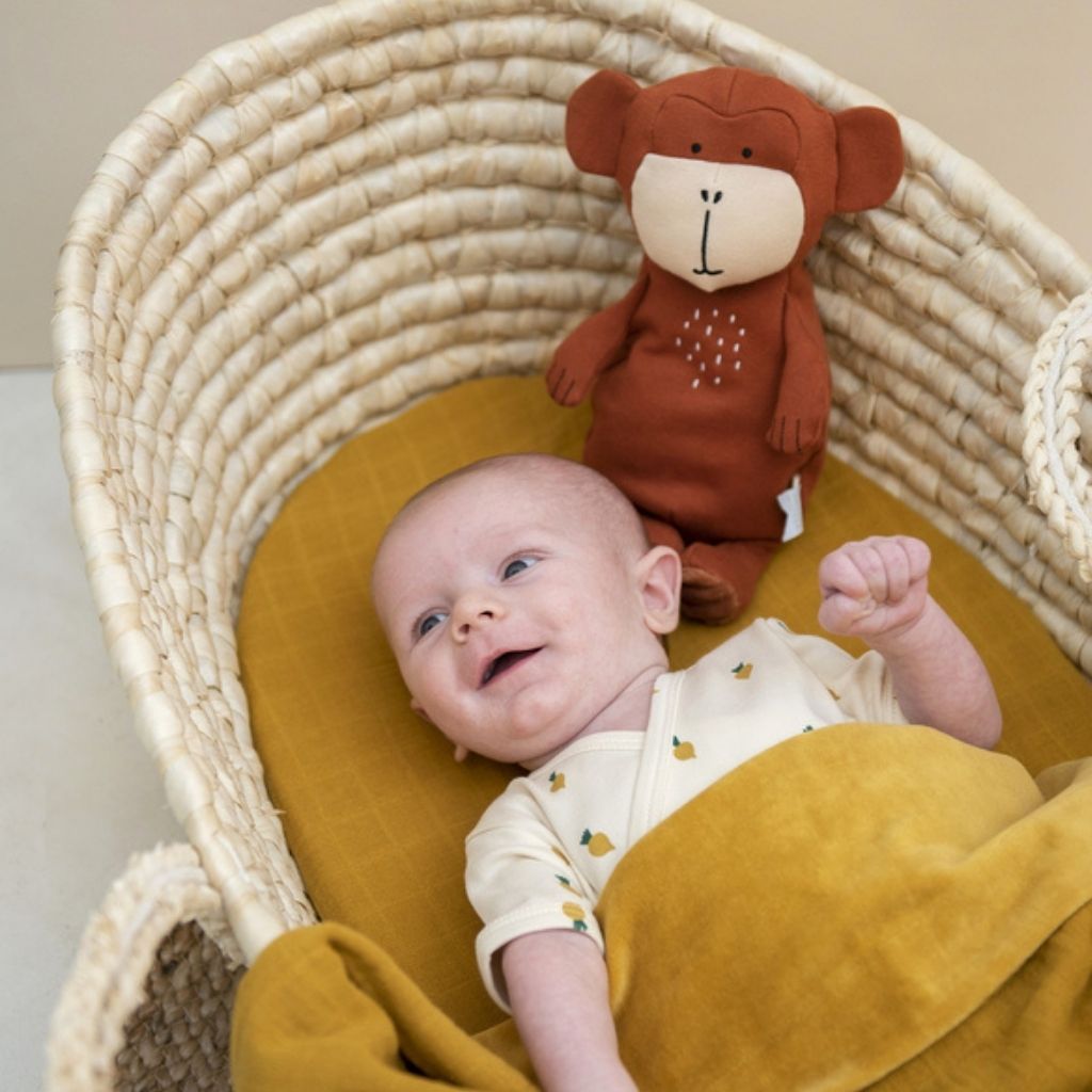 Trixie Knuffel Animals Mr. Monkey 26 cm