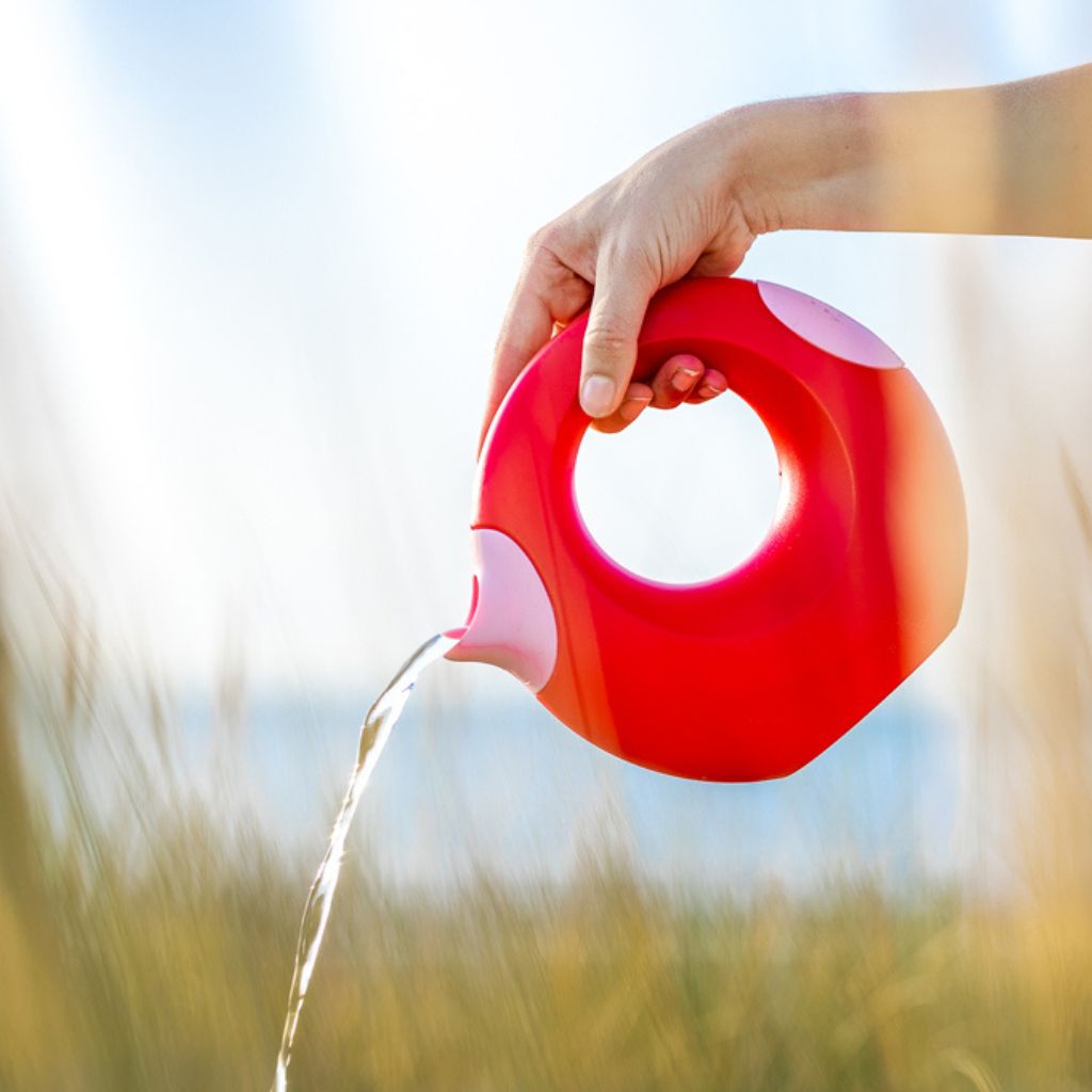 Quut Gieter Cana 1 l cherry