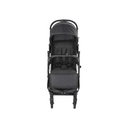 Chicco Buggy TrolleyMe Stone