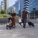 Chicco Buggy TrolleyMe Stone